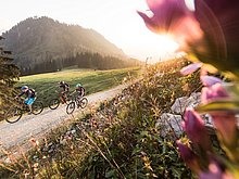 Bike-Auszeit im Indian Summer