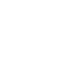 Steyr Logo Rahmen